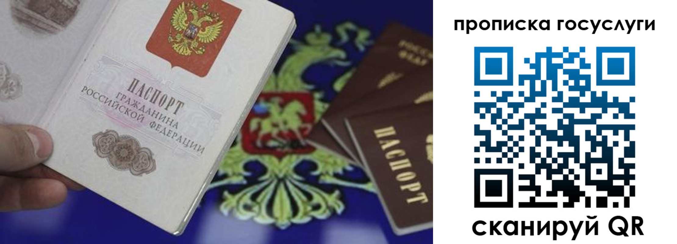 прописка для школы в Геленджике